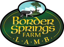 borderspringsfarm.com